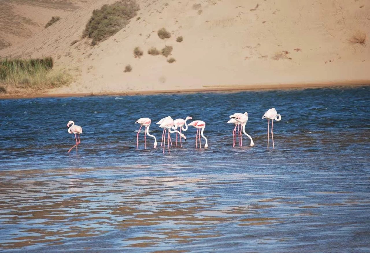 Découverte de Souss Massa Agadir Découverte de Souss Massa Agadir