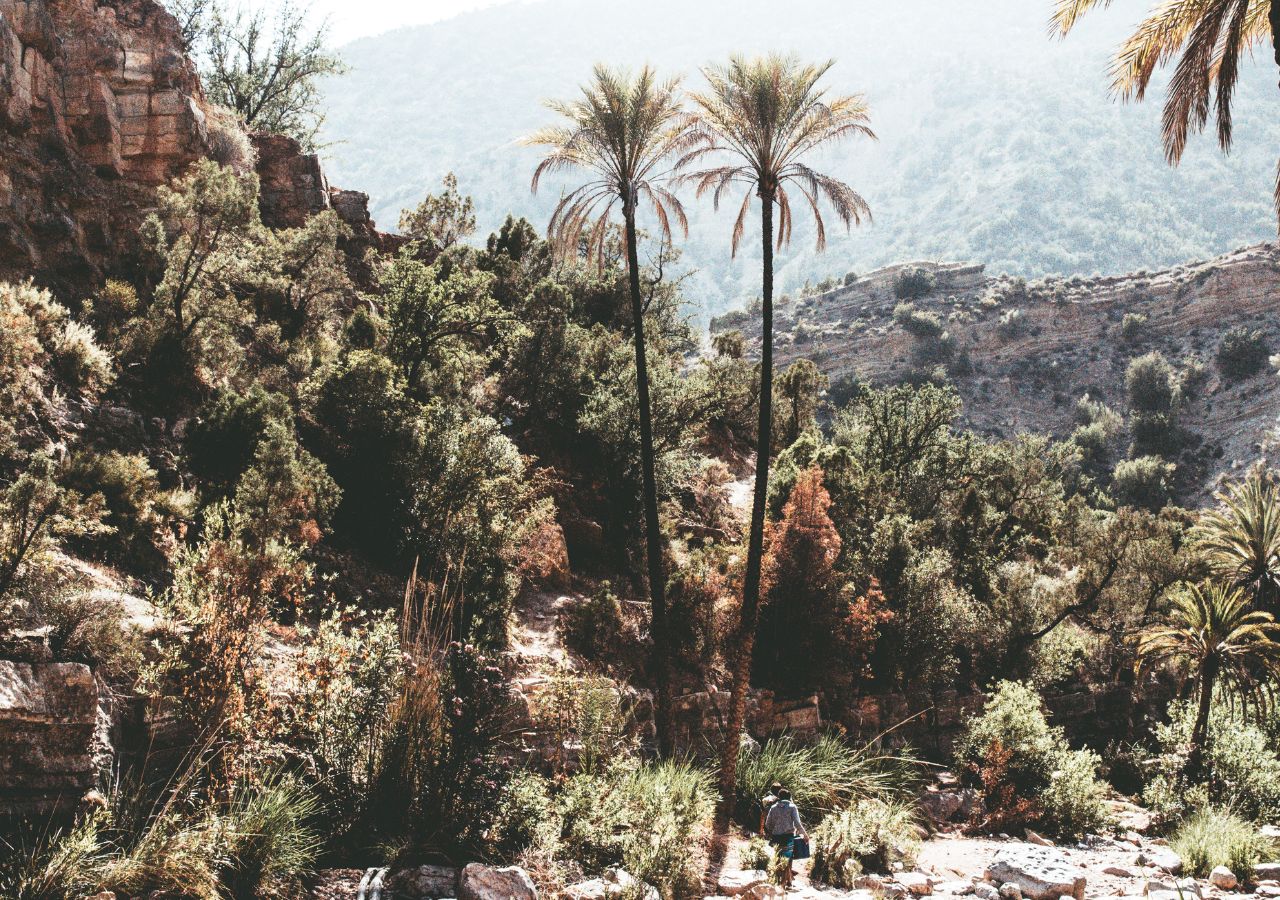 Paradise Valley Agadir Exploration Paradise Valley Agadir Exploration