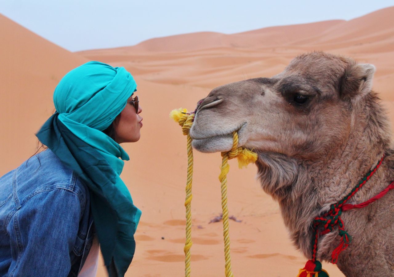 Balade à dos de chameau Balade à dos de chameau