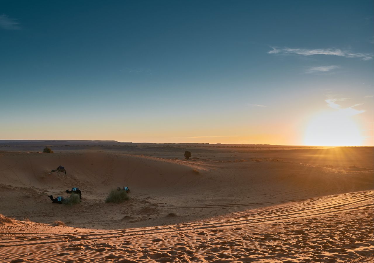 Safari dans le Petit Désert Safari dans le Petit Désert