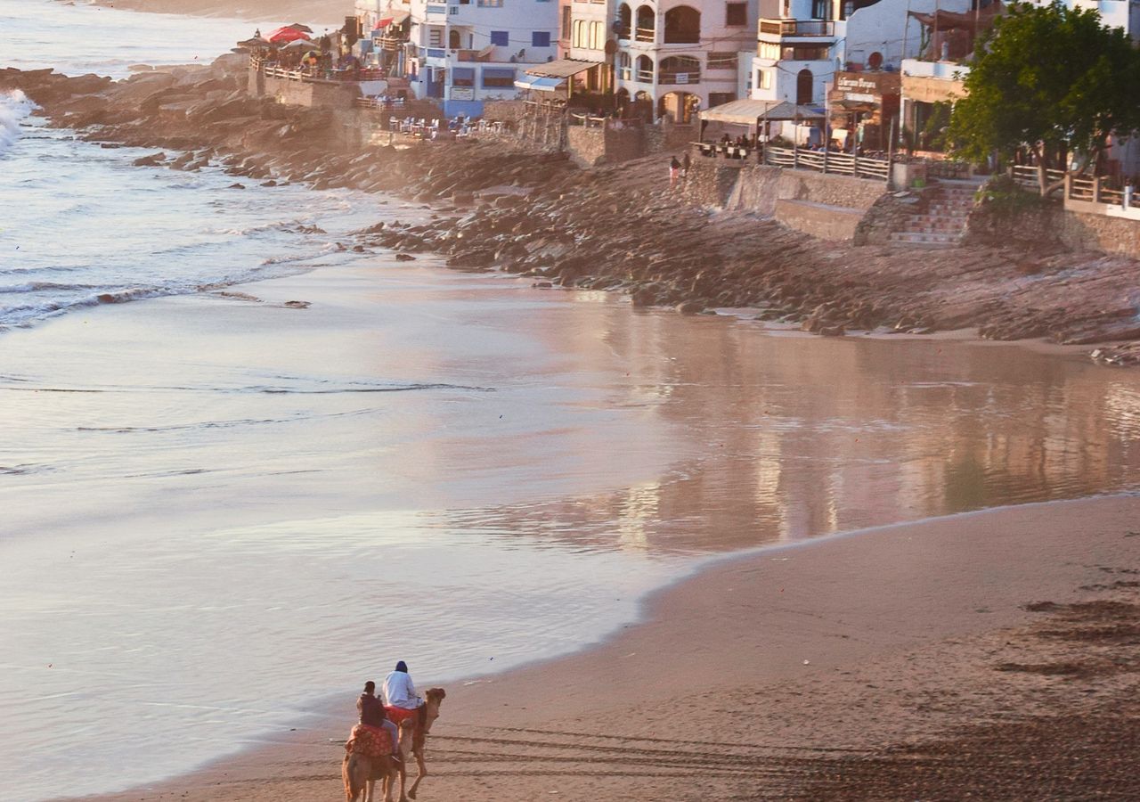 Balade à dos de chameau Balade à dos de chameau