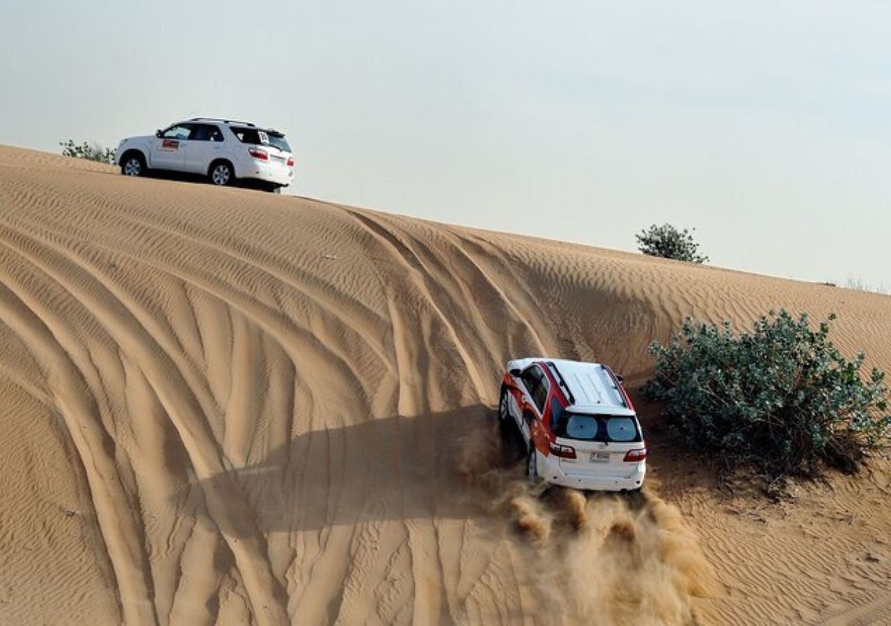 Safari dans le Petit Désert Safari dans le Petit Désert