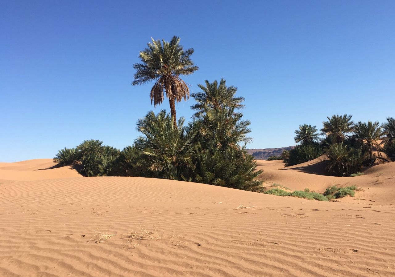 Excursion Sahara Berbère 4x4 Excursion Sahara Berbère 4x4