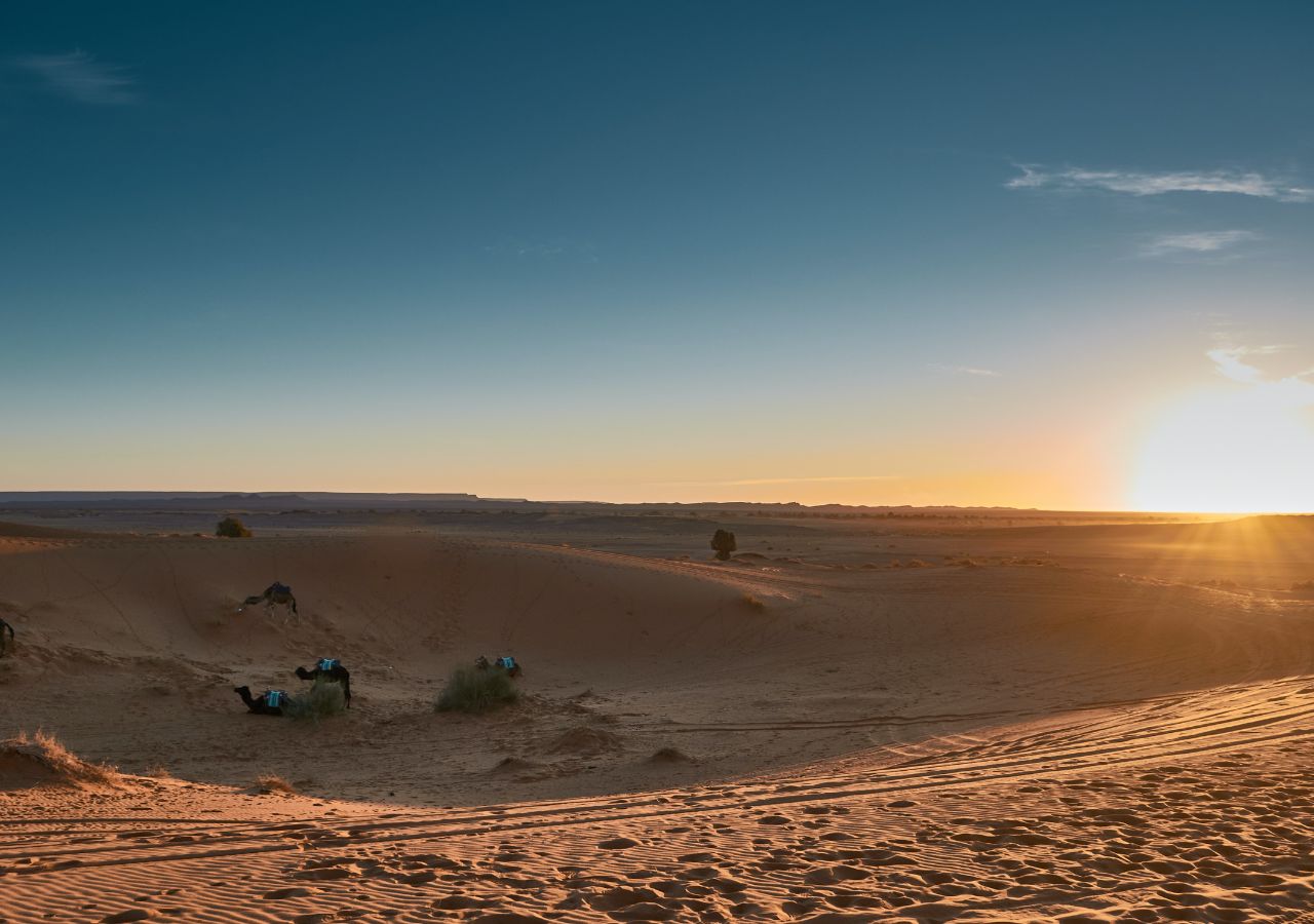 Découverte Trésors Souss Massa Découverte Trésors Souss Massa