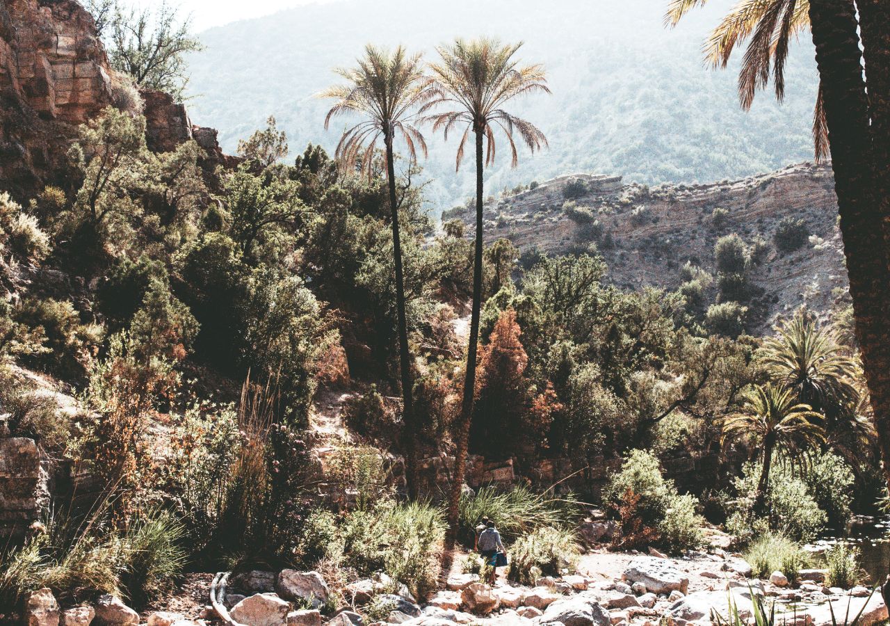 Découverte Trésors Souss Massa Découverte Trésors Souss Massa